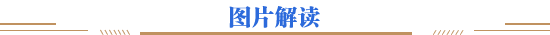 图片解读